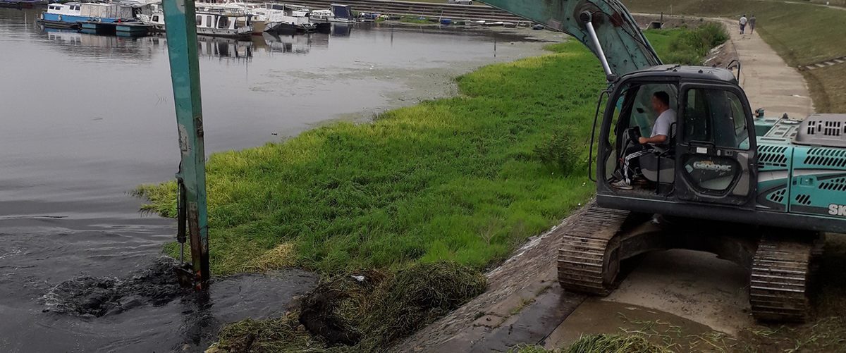 Чишћење Дунавца