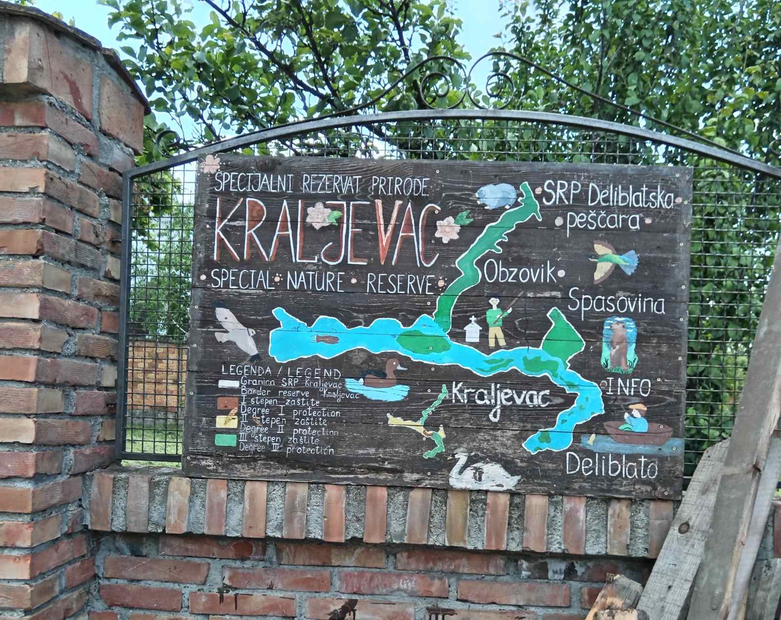 Светски дан корњача