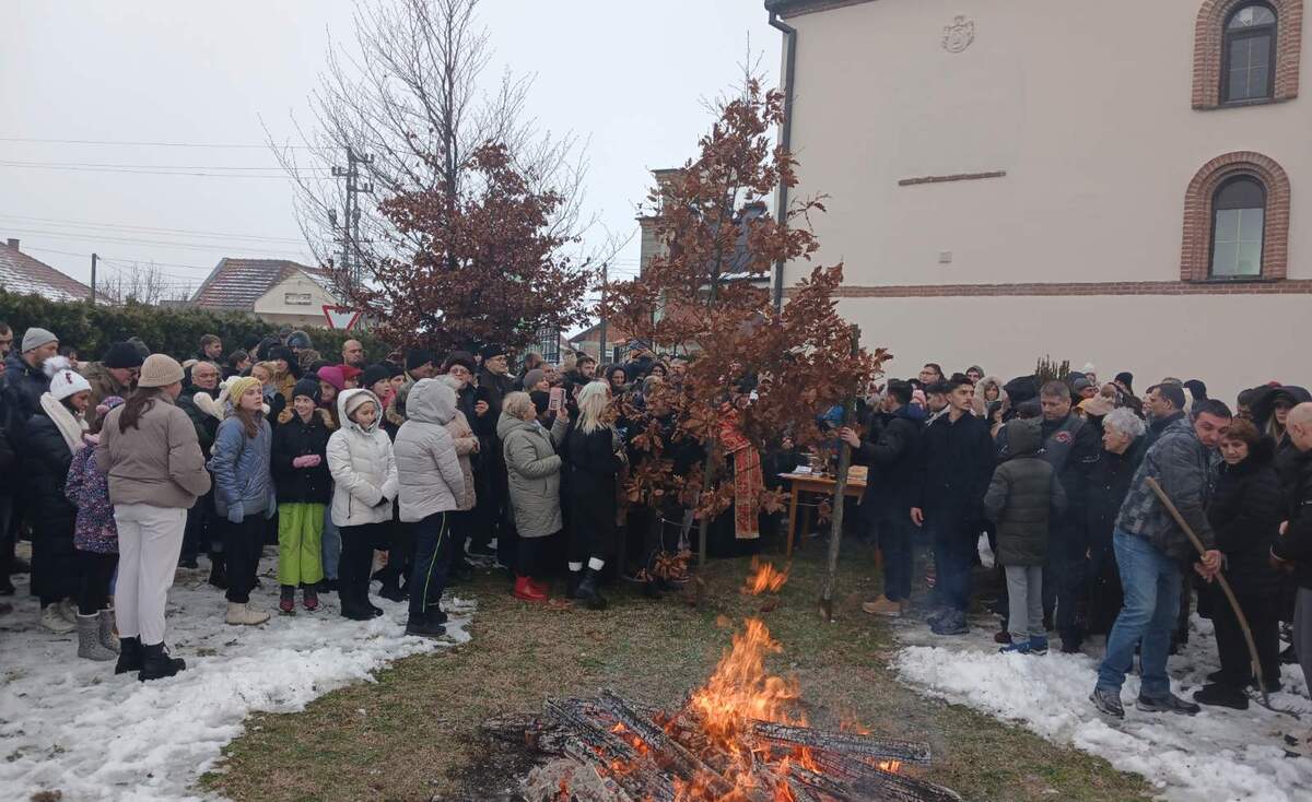 Бадњи дан у Ковину – очување вековне традиције